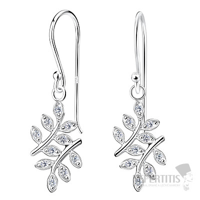 20606 Strieborné visiace náušnice 30 mm OLIVE LEAF