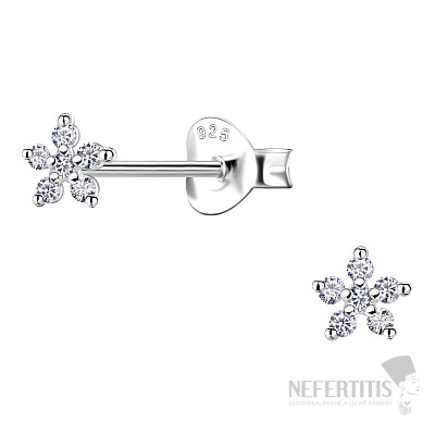 34119 Silberne Ohrringe mit Zirkonen KLEINE BLUME