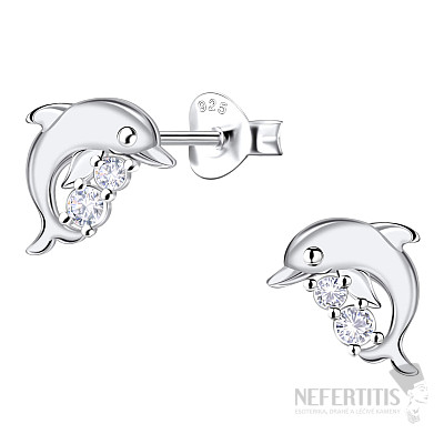 35298 Silver earrings with zircons Dolphin