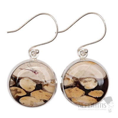Petrified wood earrings silver Ag 925 E121