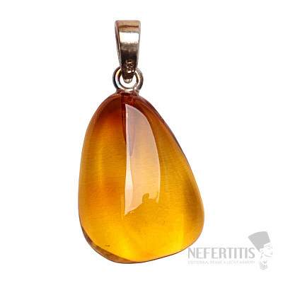 Bernsteinanhänger, Silber Ag 925 Nr. 2