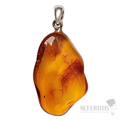 Bernsteinanhänger, Silber Ag 925 Nr. 24