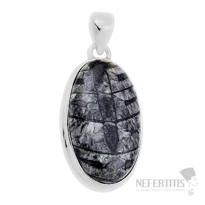 Orthoceras prívesok striebro Ag 925 31004