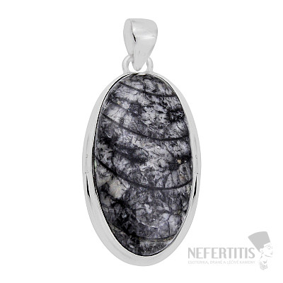 Orthoceras prívesok striebro Ag 925 31005