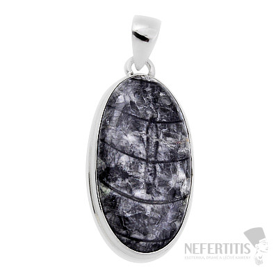 Orthoceras prívesok striebro Ag 925 31015