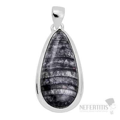 Orthoceras prívesok striebro Ag 925 31020