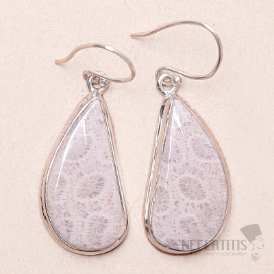 Fossile indonesische Koralle Ohrringe Silber Ag 925 KO348