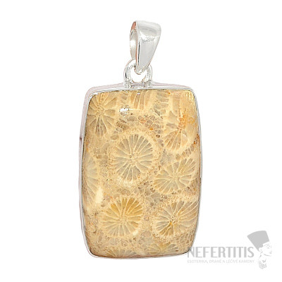 Koralle fossiler indonesischer Anhänger Silber Ag P379