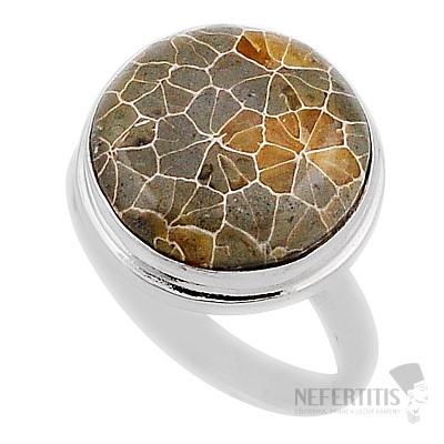 Korallen-Petoskey-Steinring, Silber Ag 925 38129