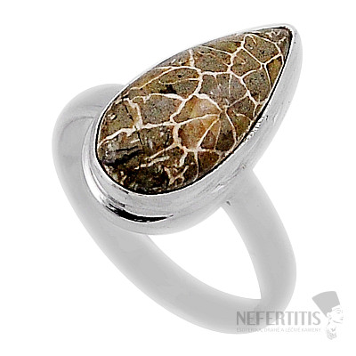 Korallen-Petoskey-Steinring, Silber Ag 925 38136