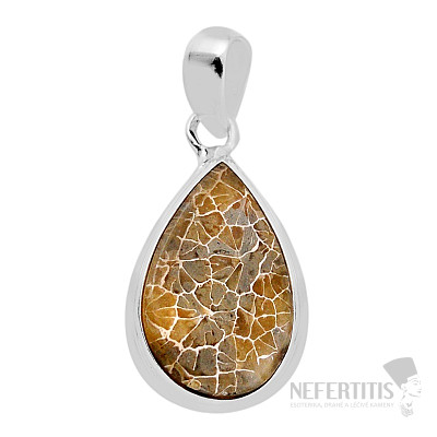 Coral petoskey stone pendant silver Ag 925 38142