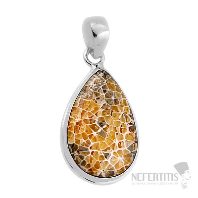 Coral petoskey stone pendant silver Ag 925 38154