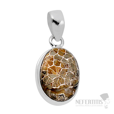 Koral petoskey stone prívesok striebro Ag 925 38157