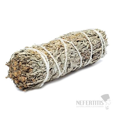 Sage Shasta blue smoking bundle small 10 - 11 cm