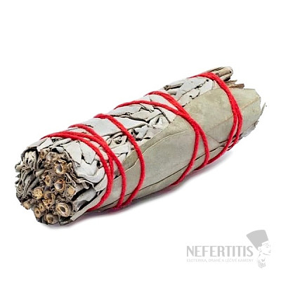 White sage and eucalyptus smoking bundle 10 cm