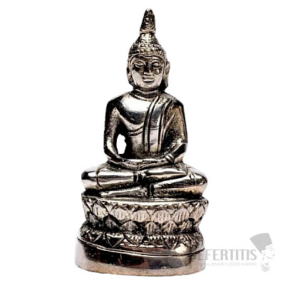 Feng Shui Statuette von Buddha Pang Samti Messing - Gott für Donnerstag