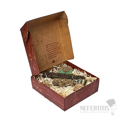 Sagrada Madre Protection and Healing Kit - White Sage