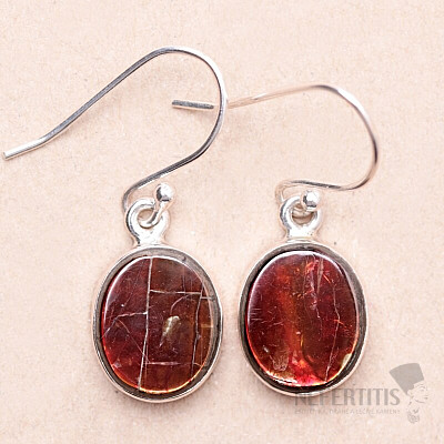 Amolite earrings silver Ag 925 E745