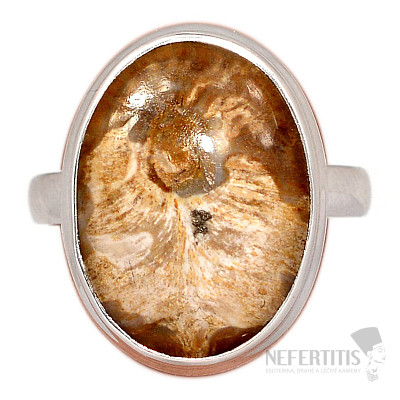 Petrified wood ring silver Ag 925 R89