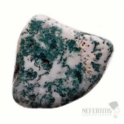 Tumbled tree agate