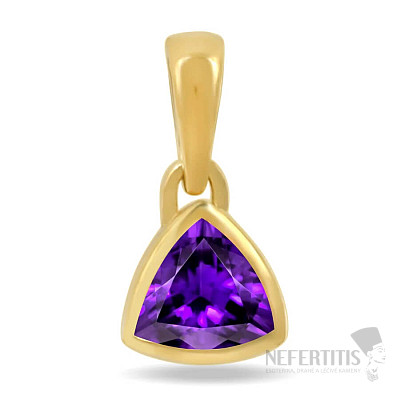Silver gold-plated pendant with amethyst CB-P717G-A