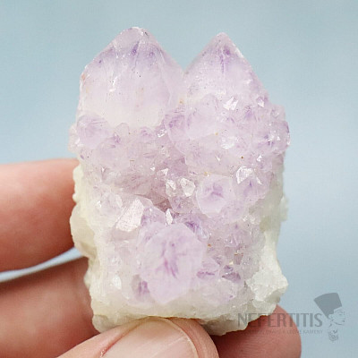 Amethyst cactus druse JAR 10