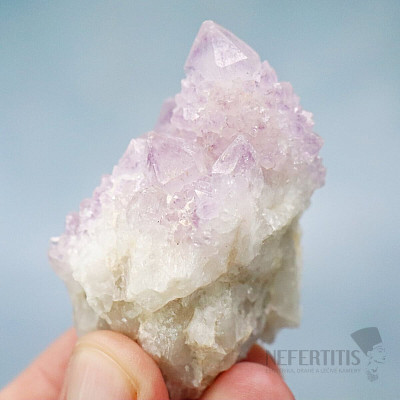 Amethyst cactus druse JAR 7