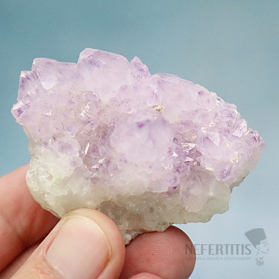 Amethyst cactus druse JAR 8