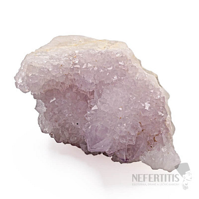 Amethyst-Kaktus-Druse JAR 21