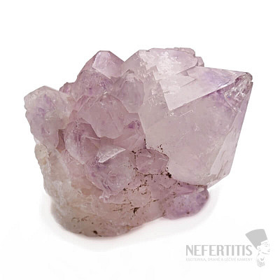 Amethyst-Kaktus-Druse JAR 18