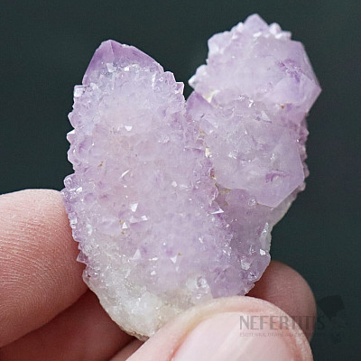 Amethyst cactus druse JAR 2