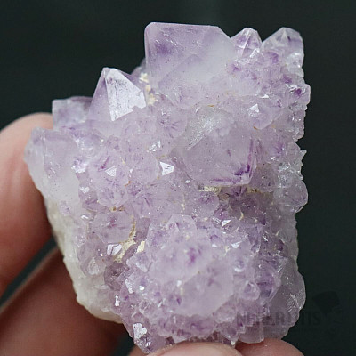 Amethyst cactus druse JAR 6