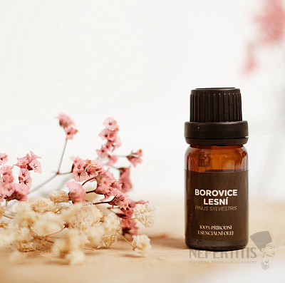 Von Nefertitis Waldkiefer 100% ätherisches Öl 10 ml