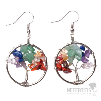 Chakra earrings Tree of life stainless steel