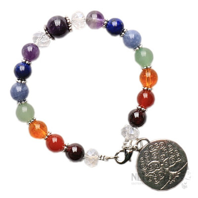 Chakra beaded bracelet with amethyst and Tree of Life