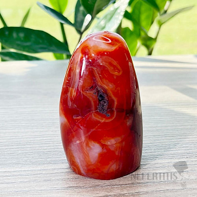 Karneol leštený freeform malý Madagaskar 1