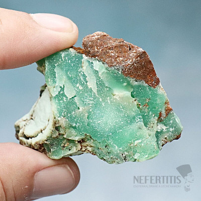 Raw chrysoprase Tanzania 12