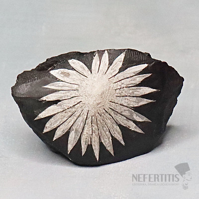 Chrysanthemum Stone China 1
