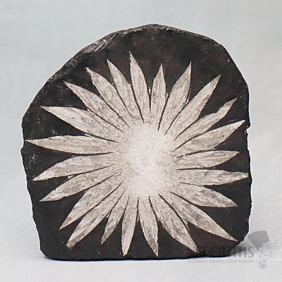 Chrysanthemum Stone China 5
