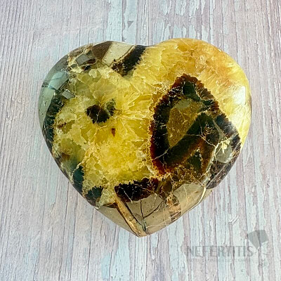 Polierte Septaria Madagascar Heart P6-24