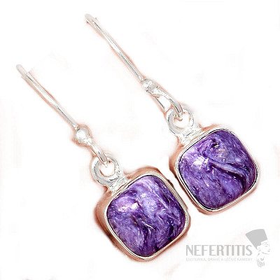 Charmite earrings silver Ag 925 E1156