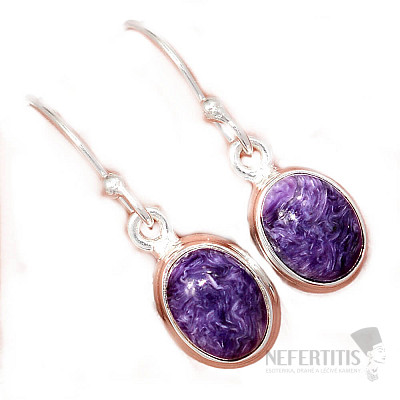 Charm-Ohrringe Silber Ag 925 E1169