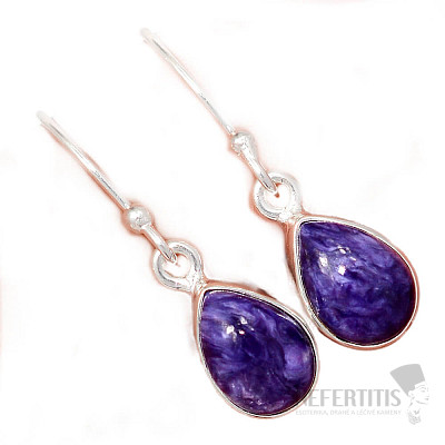 Charm-Ohrringe Silber Ag 925 E1176