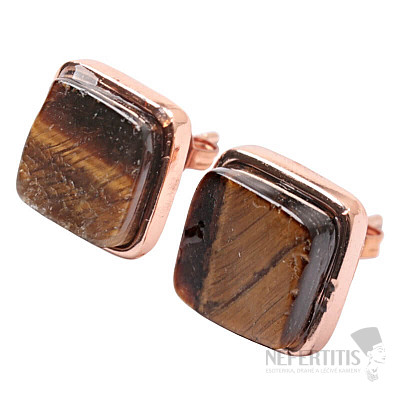Tiger eye earrings brass square
