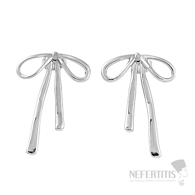 Náušnice z nerezové oceli Mašle Silver 2 cm