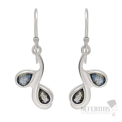 Silver dangle earrings with labradorite