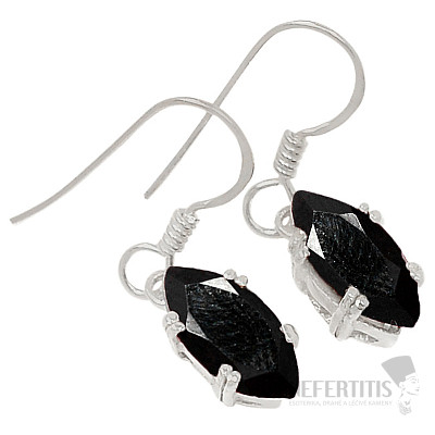 Silver dangle earrings with onyx