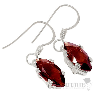 Silver dangle earrings with garnet