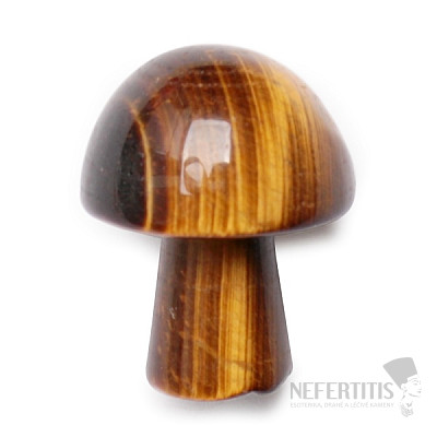 Gua sha on the face of a tiger's eye Mushroom