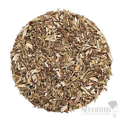 Catnip - herb for smoking